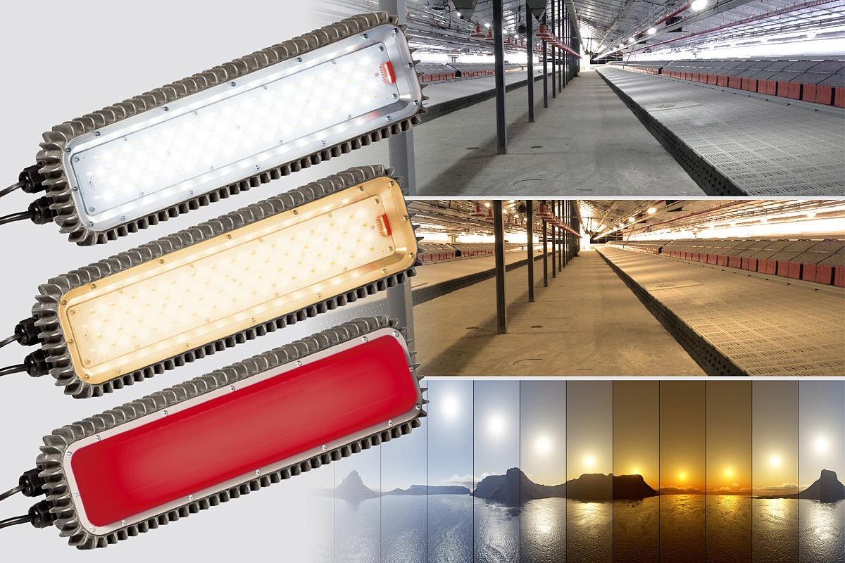 قیمت فروش انواع لامپ ال ای دی ادیسونی